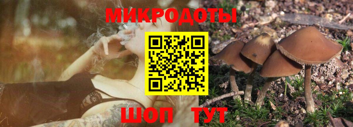 Псилоцибиновые грибы прущие грибы Нефтеюганск