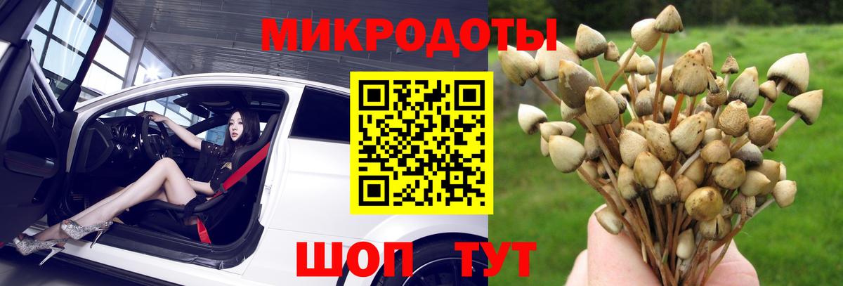 купить   Псилоцибиновые грибы мицелий  Нефтеюганск  Вход с VPN  Галлюциногенные грибы MAGIC MUSHROOMS 